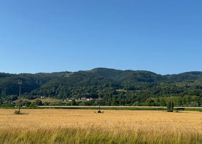 別荘 Catez Holzhaus An Der Therme Catez Brežice